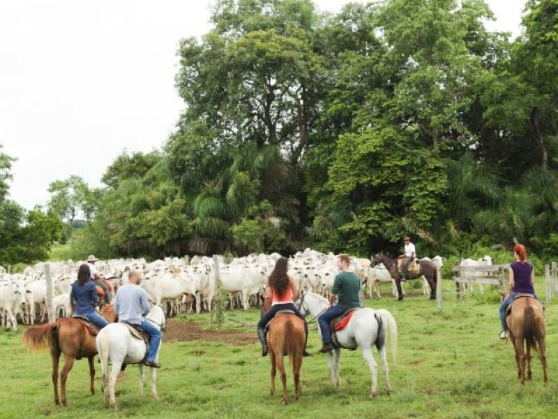 Pantanal Sul - Pousada Pequi