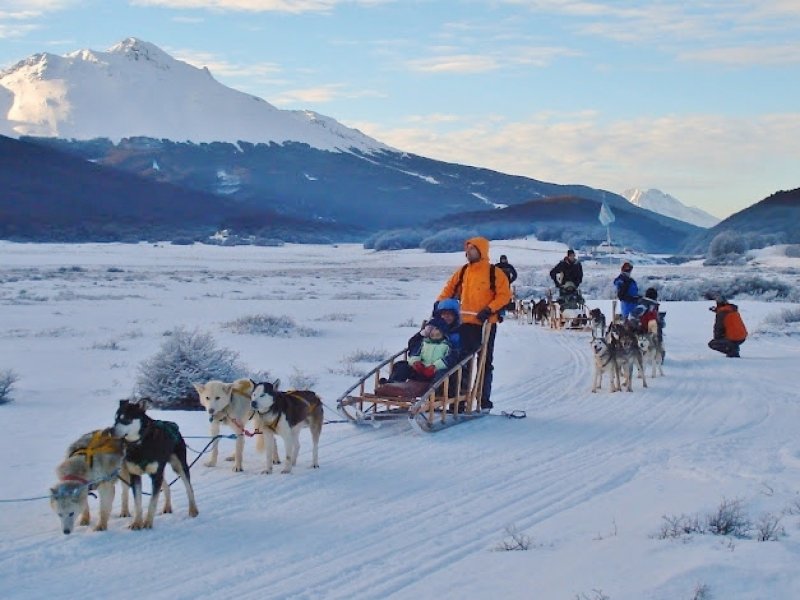 Treno puxado por Huskies em Ushuaia (Terra do Fogo)
