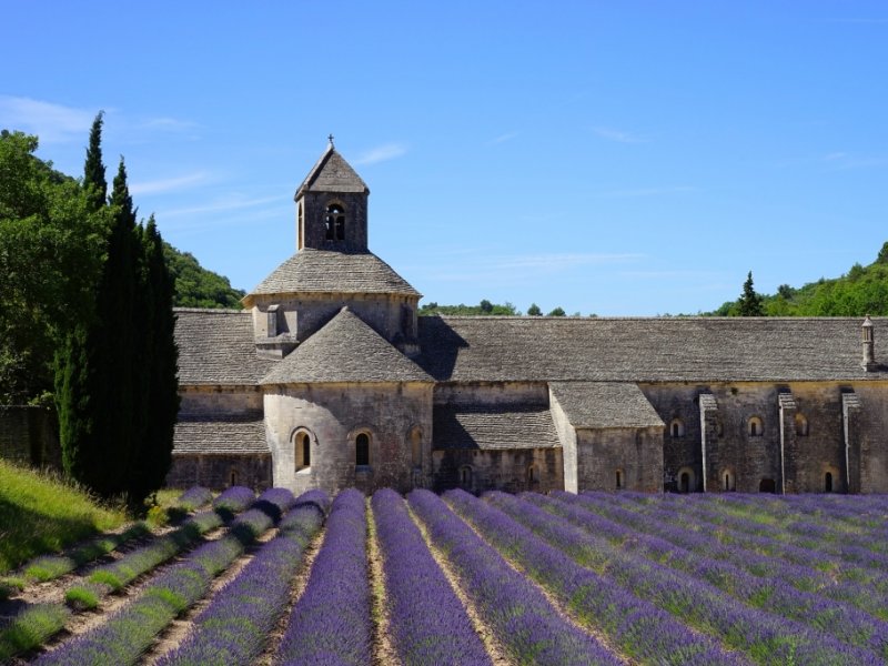 França - Provence 5 Sentidos com Lavanda