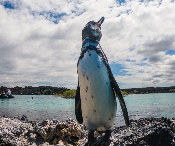 Equador - Ilhas Galápagos - Hotel Finch Bay