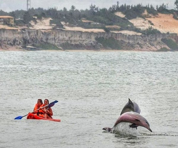Baía dos Golfinhos - Praia da Pipa