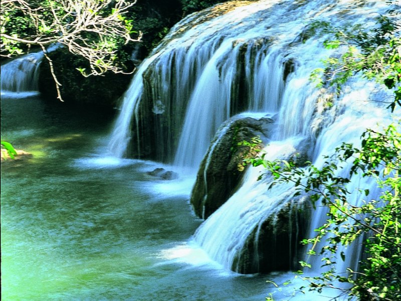 Estância Mimosa