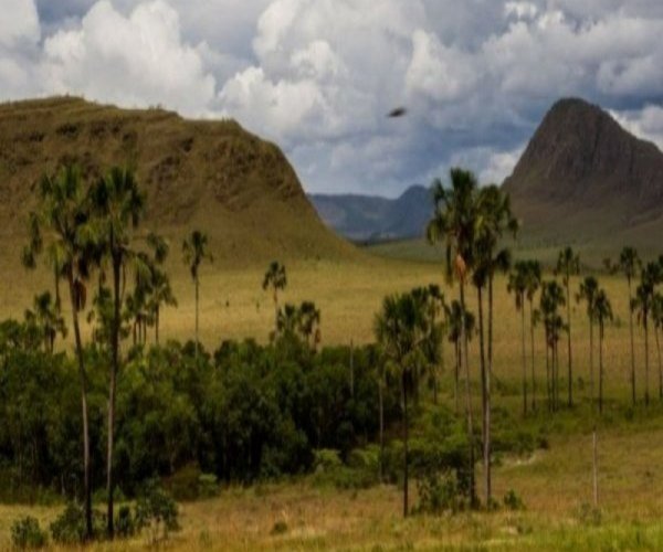 FERIADOS - Chapada dos Veadeiros Express