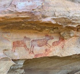 Ivone Almeida de Medeiros