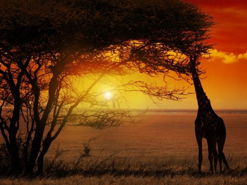Kruger