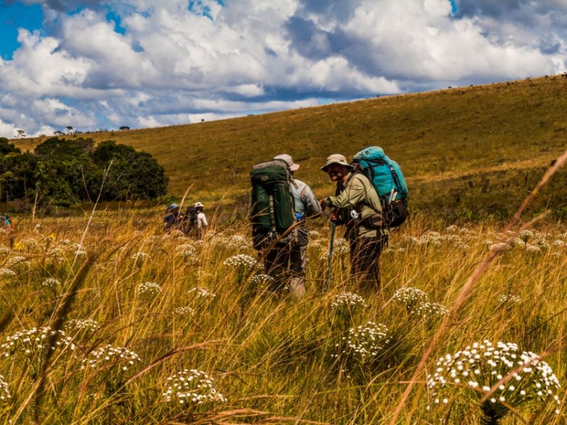 Curso FEAL na Chapada dos Veadeiros