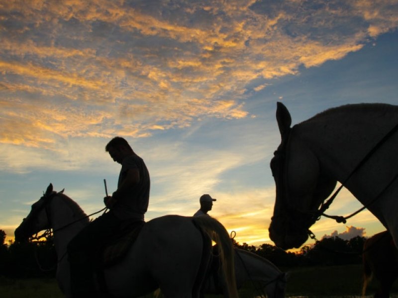 Pantanal Sul - Pousada Pequi