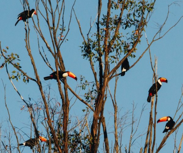 Pousada Trijunção e Parque Nacional Grande Sertão Veredas