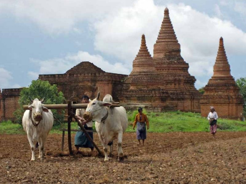 Indochina - Vietnã. Camboja e Laos com Extensão em Bangkok
