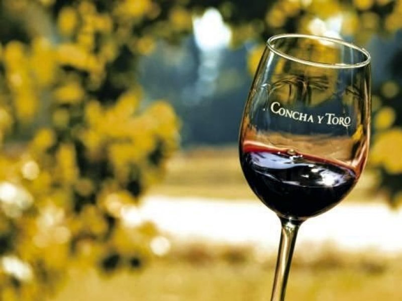 Vinicula Concha y Toro