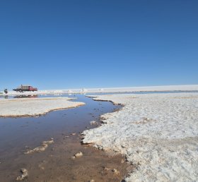 Ana Paula Dias de Lima