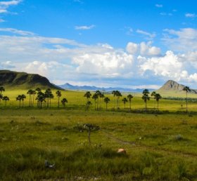 Sidney Brandão Schunck da Silva