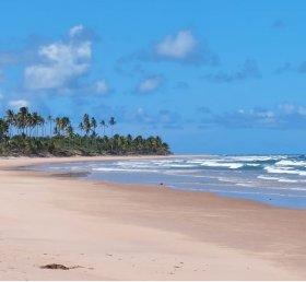 Maria Aparecida Mauro