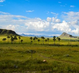 Diego Andrade Armengol