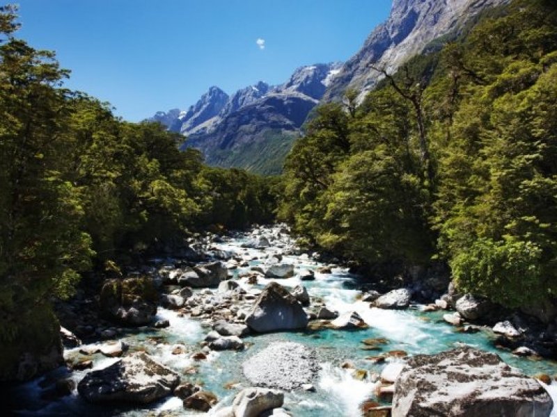Hollyford River