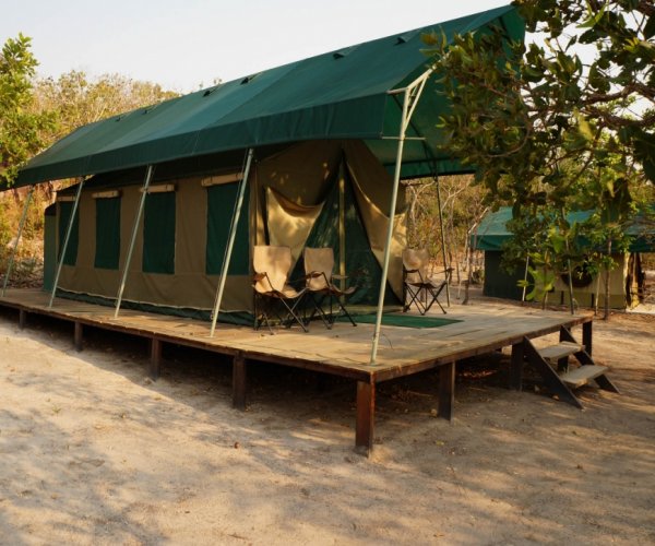 Safári Camp