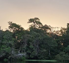 Rodrigo Otavio Londres