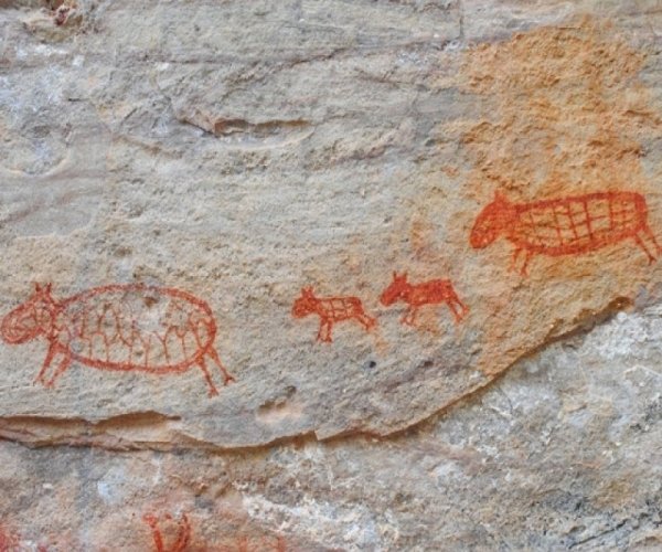 Parque Nacional da Serra da Capivara, Serra das Confusões e Cânions do Viana