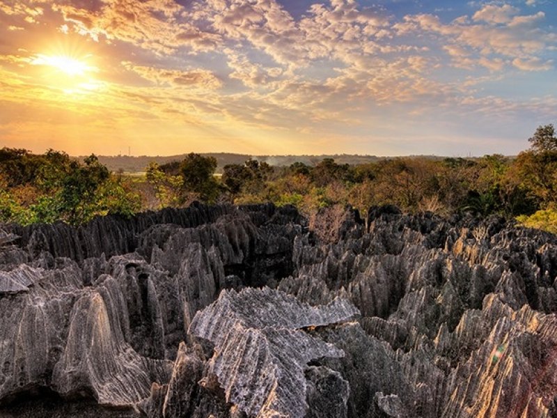 Pacote para Madagascar