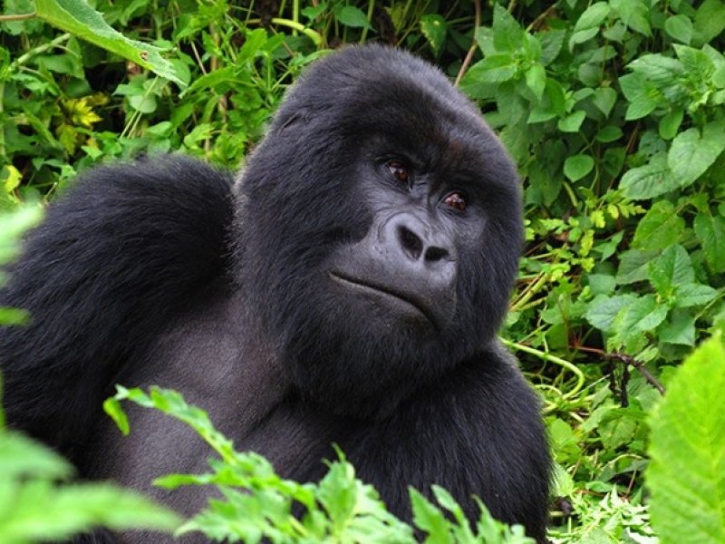Ruanda
