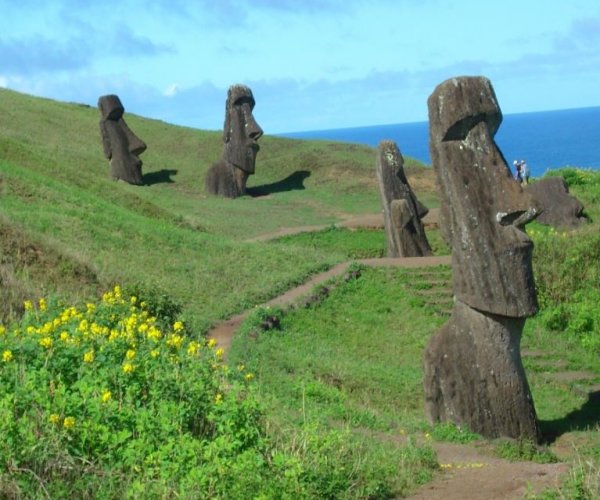 Ilha de Pascoa - Vulcão Rano Raraku