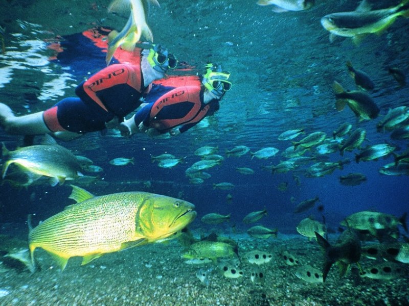 Rio da Prata