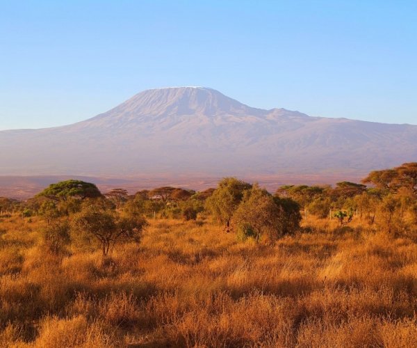 Kilimanjaro