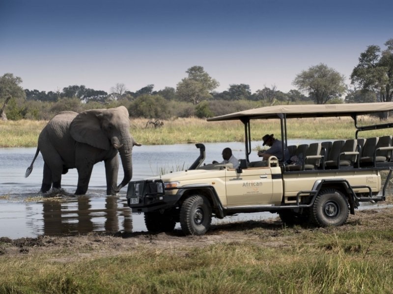 Africa African Bush Camps