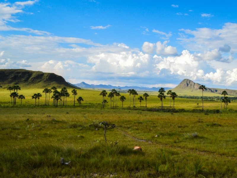 Chapada dos Veadeiros