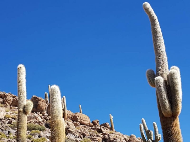 Travessia Deserto de Atacama x Salar de Uyuni - Hotel Explora