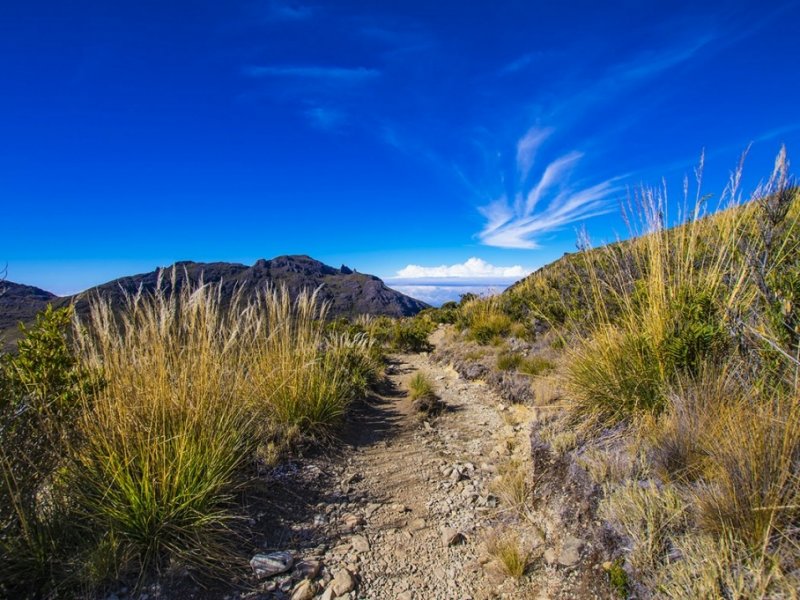 Parque Nacional Cerro Chirripó