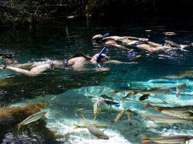 Os Encantos de Nobres