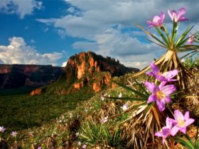 O Barato da Chapada dos Guimarães