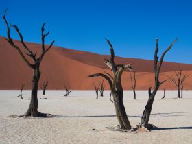 Sul da Namíbia e África do Sul