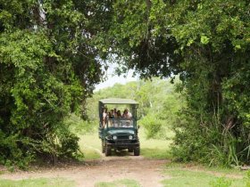Pantanal Sul - Pousada Pequi