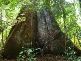 Pará - Descubra Alter do Chão e a Floresta Nacional do Tapajós