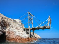 Paracas e Ilhas Ballestas