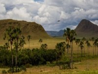 Chapada dos Veadeiros Express