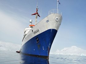 Cruzeiro na Antártica - Navio MV Ushuaia