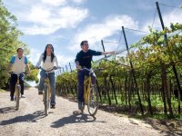 Mendoza Multiaventuras