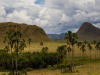 Chapada dos Veadeiros Express