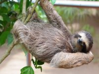 Costa Rica -  Natureza de Costa a Costa