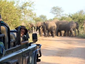 África do Sul – Cape Town e Safari no Kruger – Karongwe Private Reserve