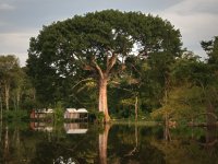 Amazônia - Expedição Katerre - Reservas Xixuaú e Jauaperi