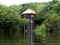 Amazônia - Juma Amazon Lodge com Pernoite na Selva