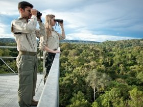 Amazônia - Cristalino Jungle Lodge - Um Santuário Amazônico