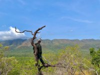 FERIADOS - Pantanal Sul e Serra do Amolar