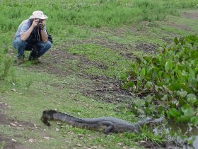 Pantanal Sul - Fazenda Aguapé