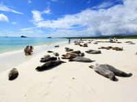 Equador - Ilhas Galápagos - San Cristobal e Santa Cruz