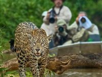Cruzeiro no Pantanal - Porto Jofre x Corumbá